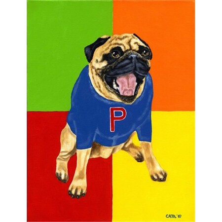 Carolines Treasures Go Team Varsity Pug Flag Canvas House Size AMB1068CHF